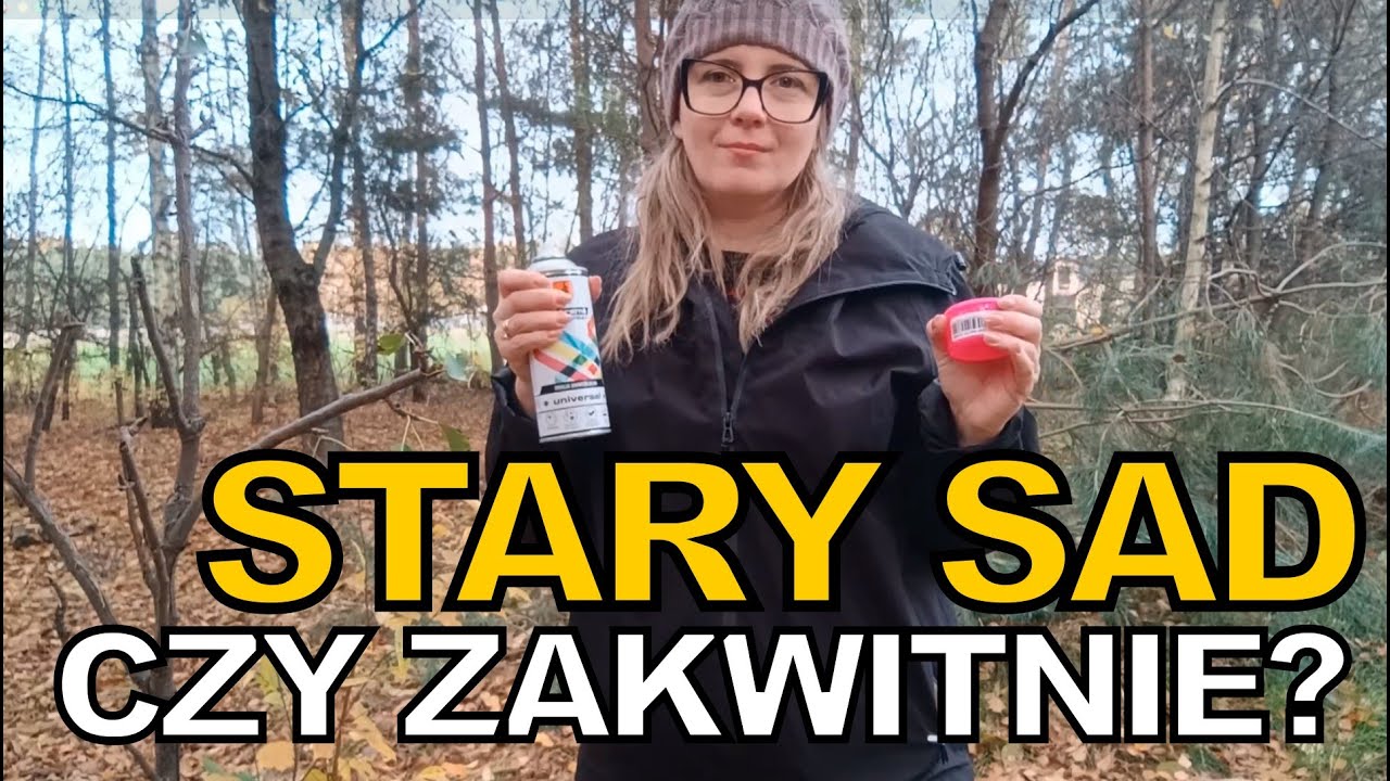 Stary sad - Czy jeszcze kiedyś zakwitnie? Nie owocuje, walczy o przetrwanie. [#2]