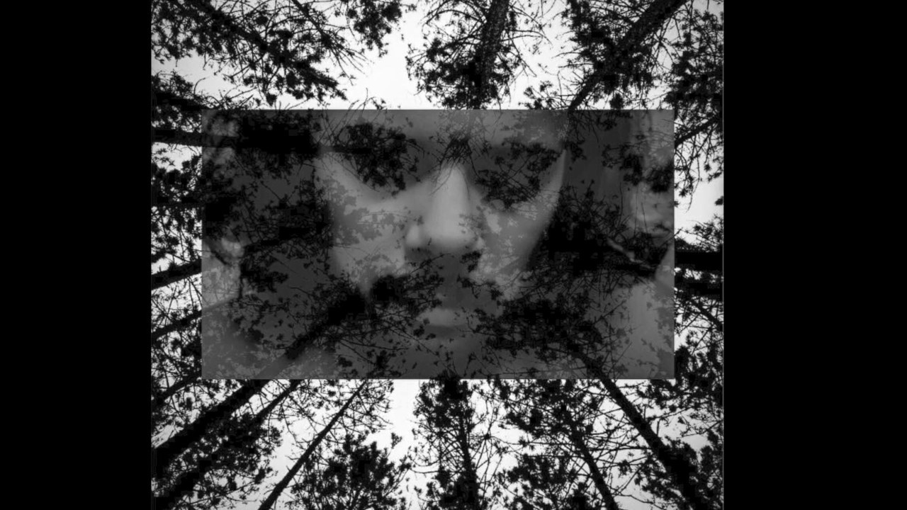 White Piece - Time Trust (prod.Griesgrammar) (Official Audio)