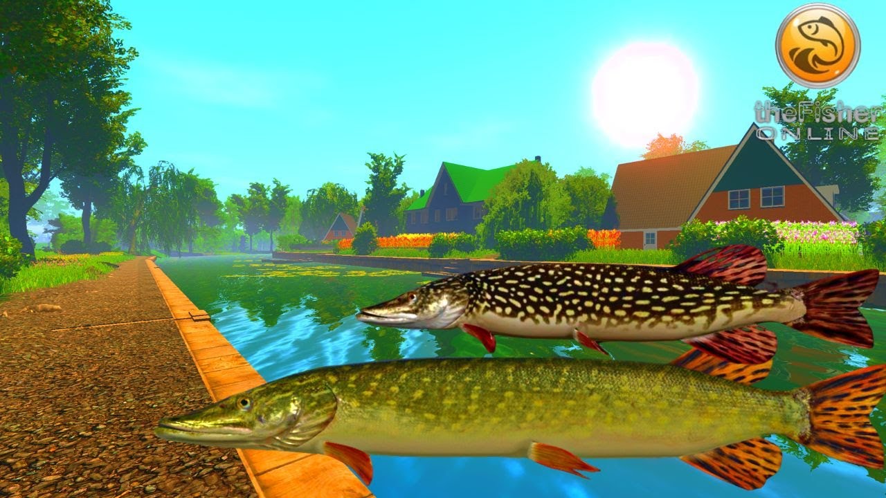 Grass and Northern Pike Spot | Netherland Canal | Fisher Online | Ep 75