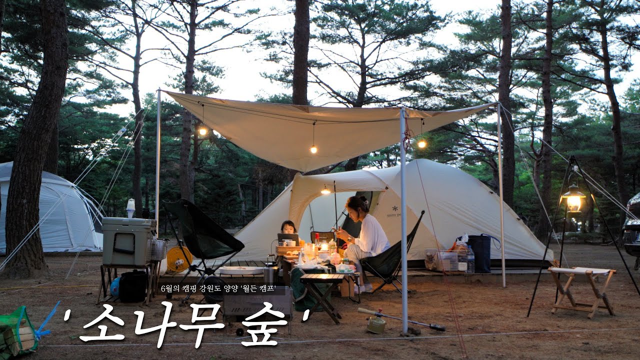 소나무 숲에서 2박3일 캠핑 l 스노우피크 l 어메니티돔 l 월든캠프 l 양양 l 송전해수욕장 I GV70 가족캠핑 I 제네시스