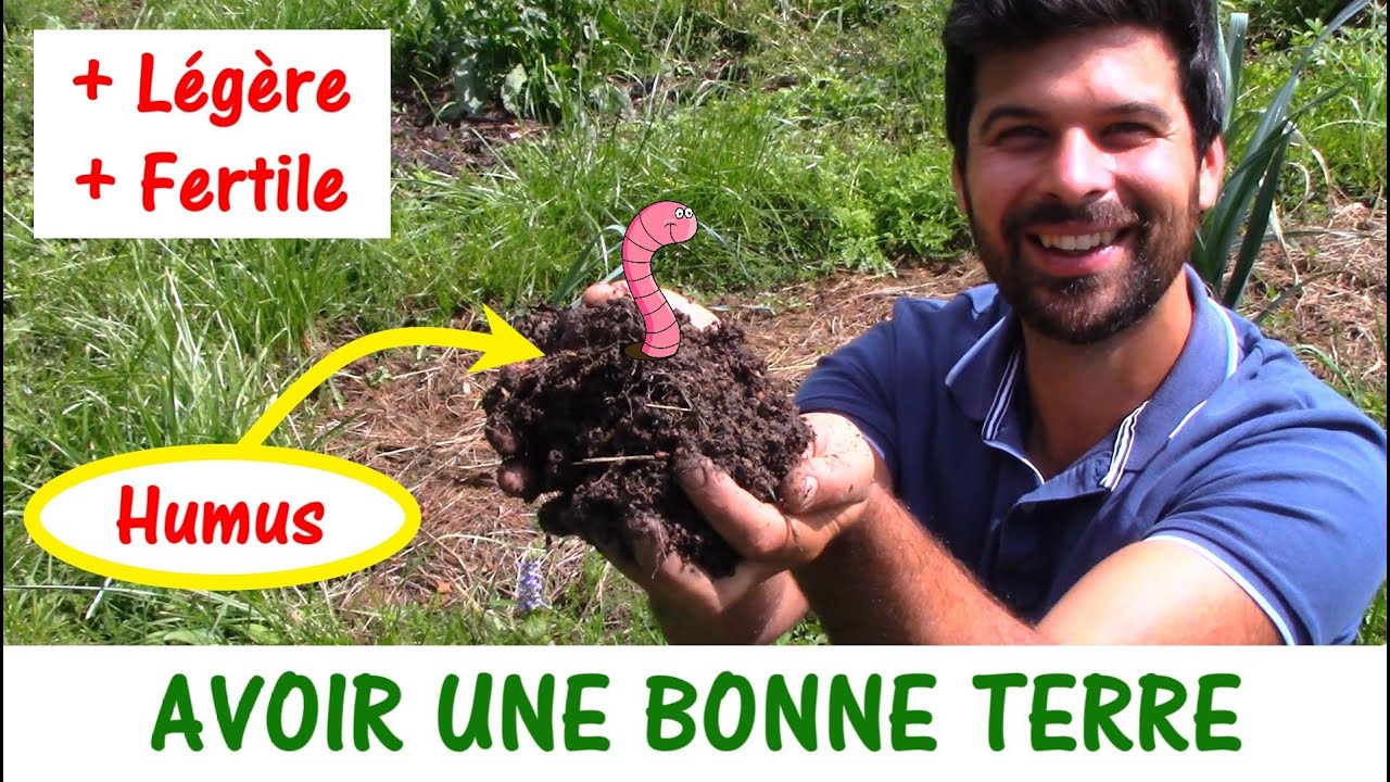 COMMENT AVOIR UNE BONNE TERRE ? L'importance de l'humus