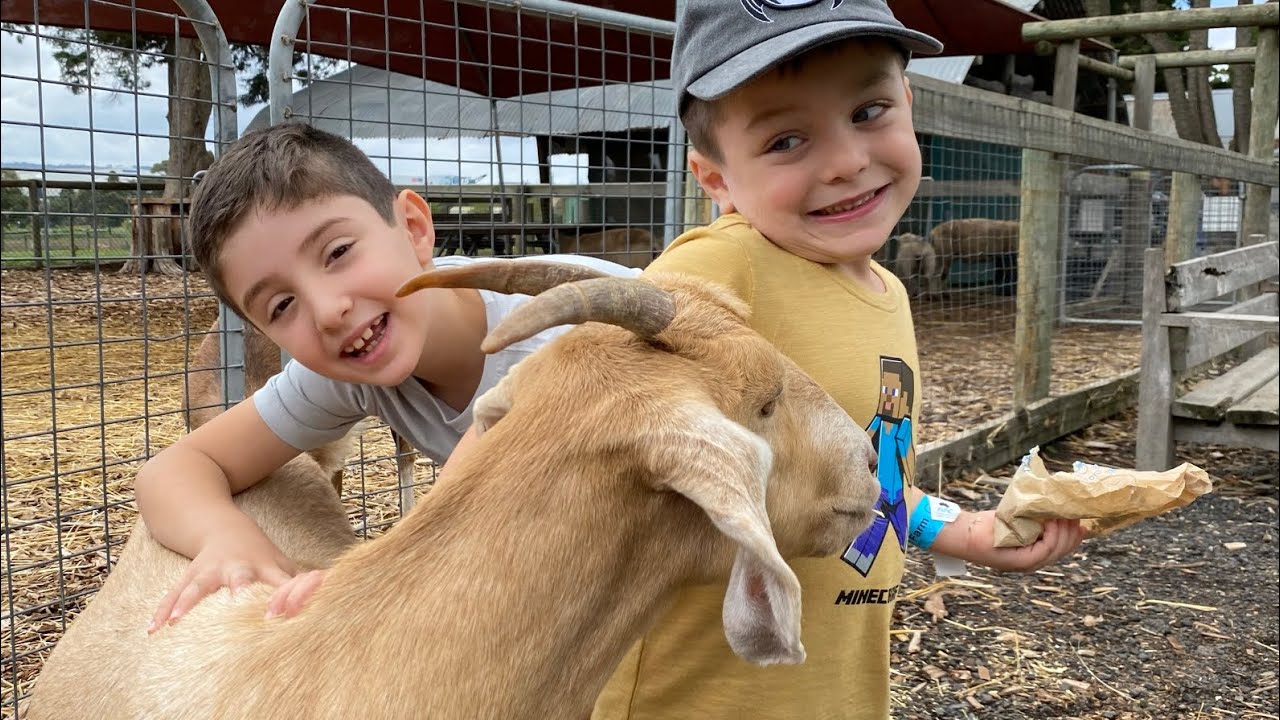 Learn about Farm Animals at the Pet Zoo 🐷 Farm Animals for Kids