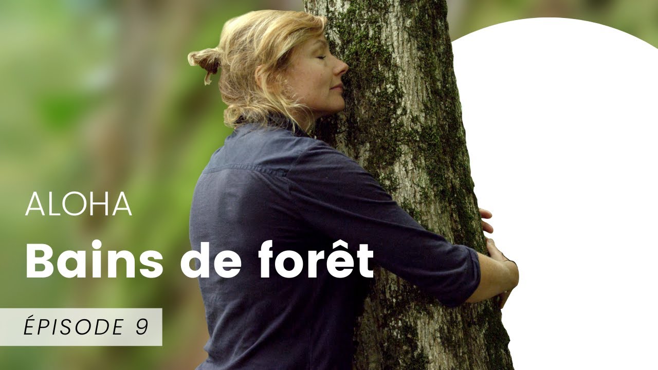 Bains de forêt