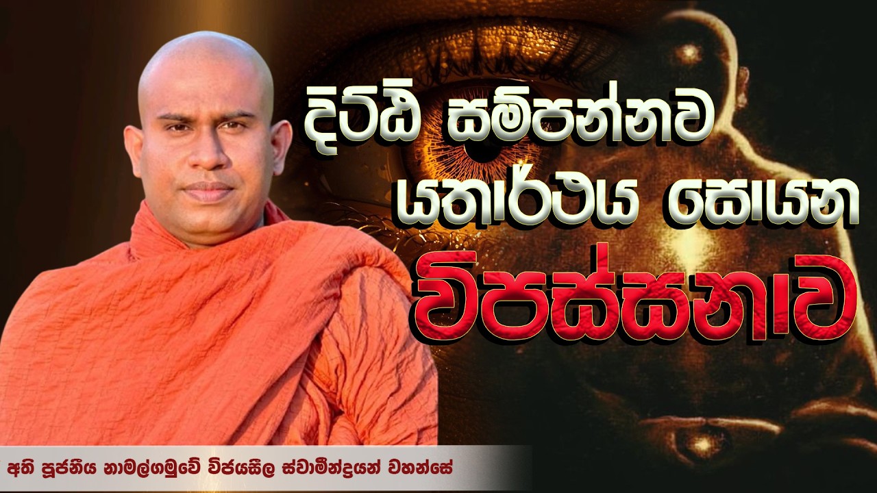 දිට්ඨි සම්පන්නව යතාර්ථය සොයන විපස්සනාව│ Ven. Namalgamuwe Wijayaseela Thero │ Dharma deshana