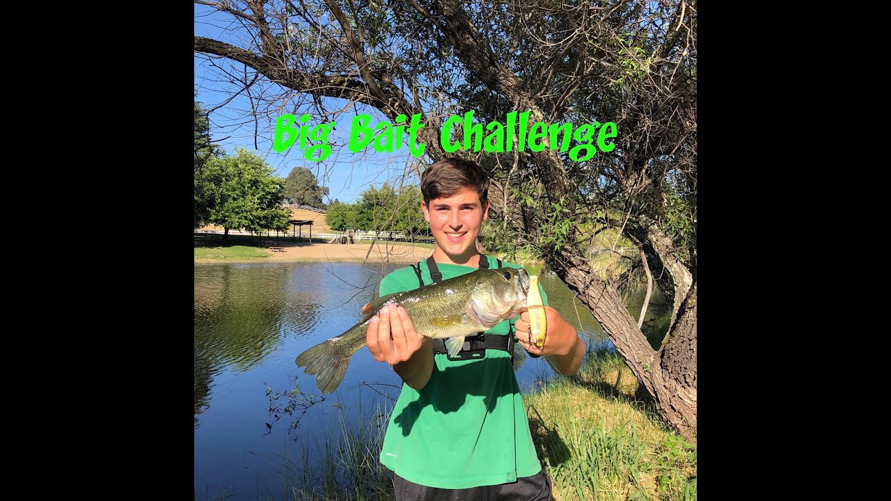 Big Bait Challenge! (Episode 1)(S-Waver 168)