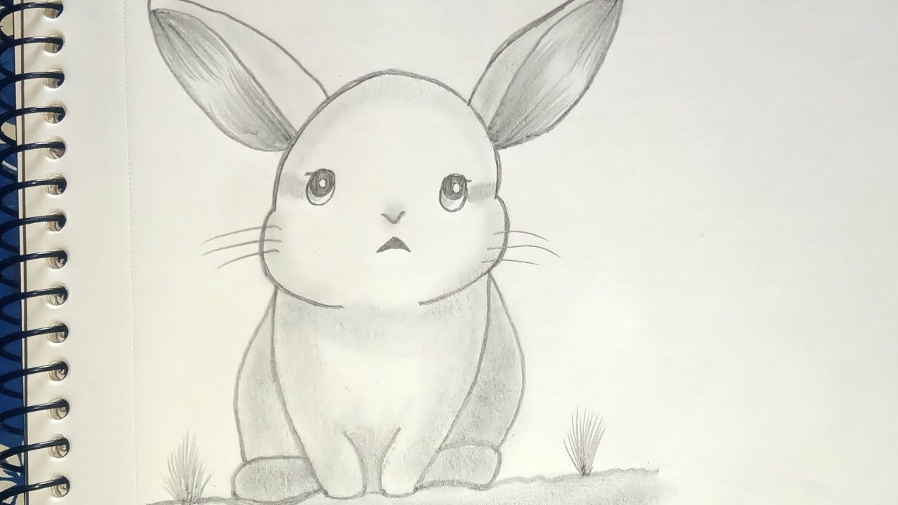 How To Draw A Easy Cute Rabbit🐰🥰/ खरगोश बनाने की सबसे आसान विधि/Easy Drawing For Student/Begginer🥰