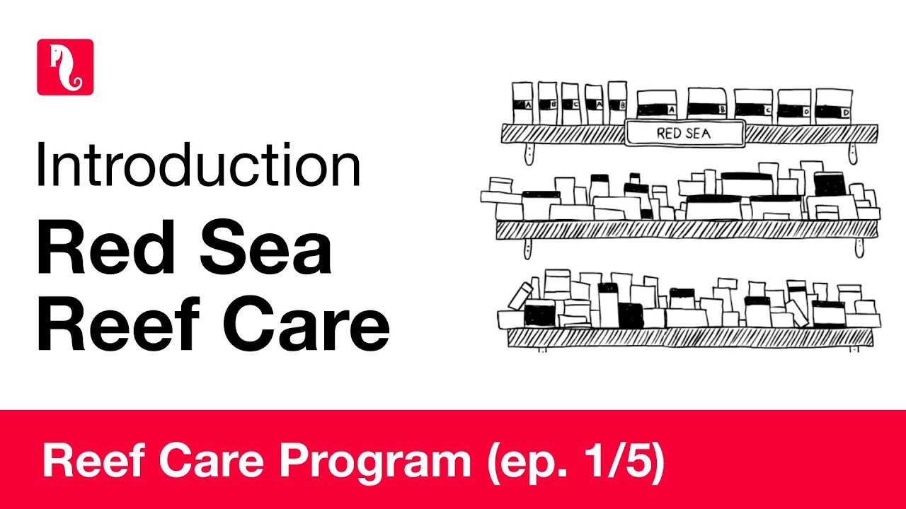 Red Sea Reef Care - Introduction (episode 1/5) HD