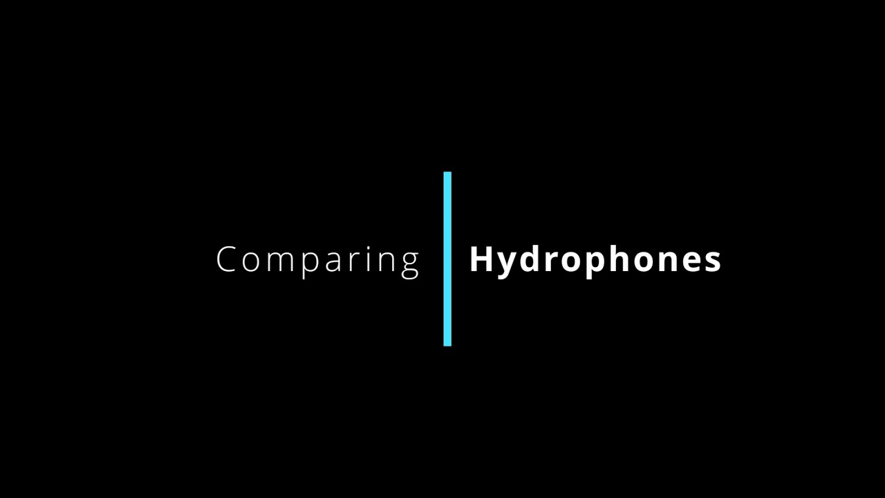 Comparing hydrophones. Part 1 - still, shallow water.