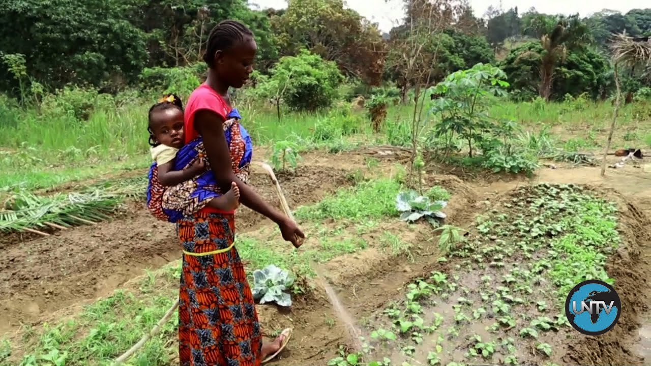 Republic of the Congo: Seeds of Hope