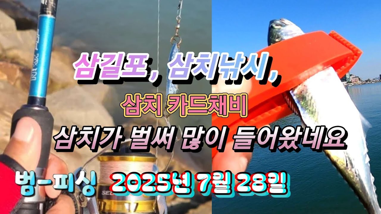 삼길포, 삼치낚시 삼치가 많이 들어왔네요 카드채비에 일타일피~