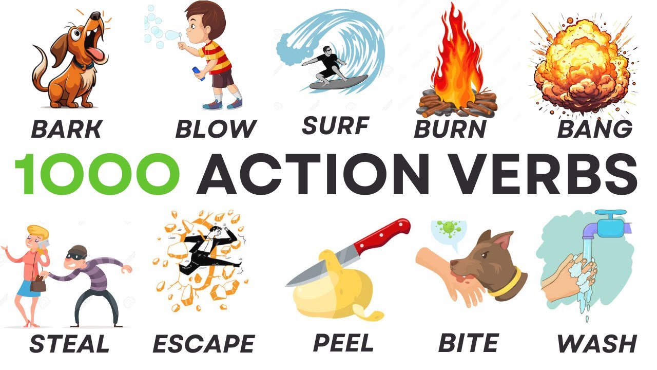 1000 Action Verbs | Common Action Verbs in English | English Vocabulary with Picture | part 2