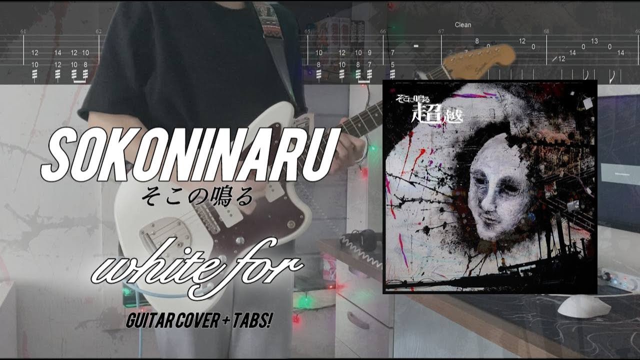 そこに鳴る - white for || Sokoninaru - white for || GUITAR COVER + TABS!