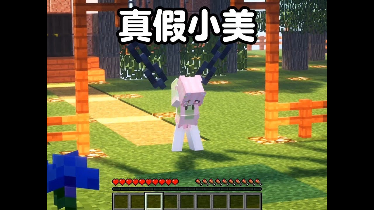 我的世界：真假小美