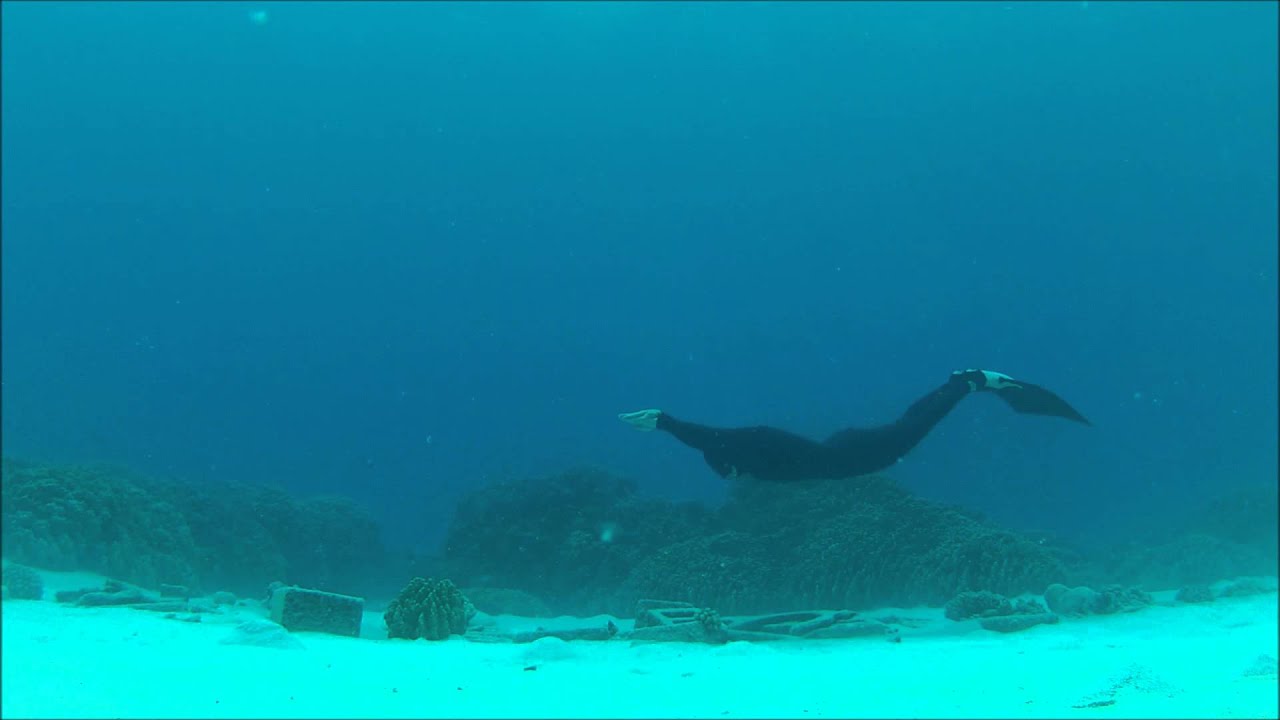 Monofin Technique Training w/ Orca and Molchanov Monofins