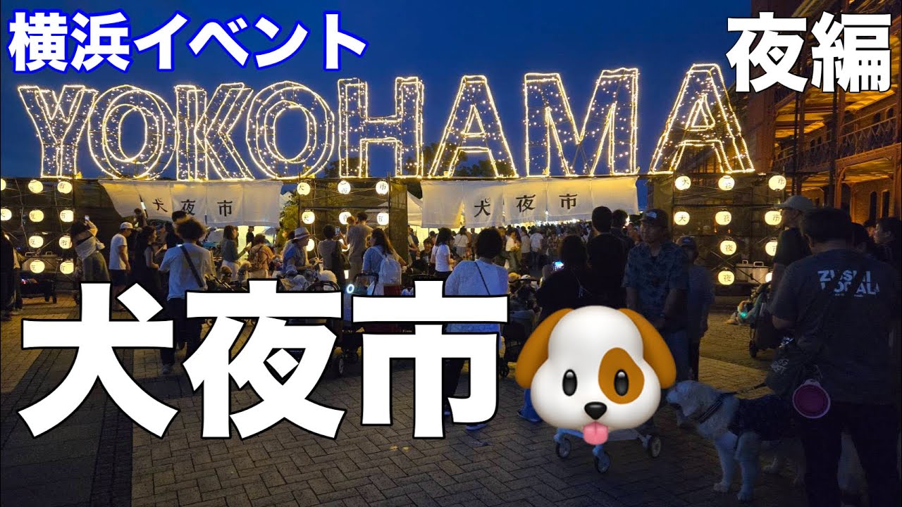 【横浜イベント】犬夜市の様子を見て回る②（赤レンガ倉庫前〜マリンアンドウォーク〜ハンマーヘッドまで）　わんさんぽ