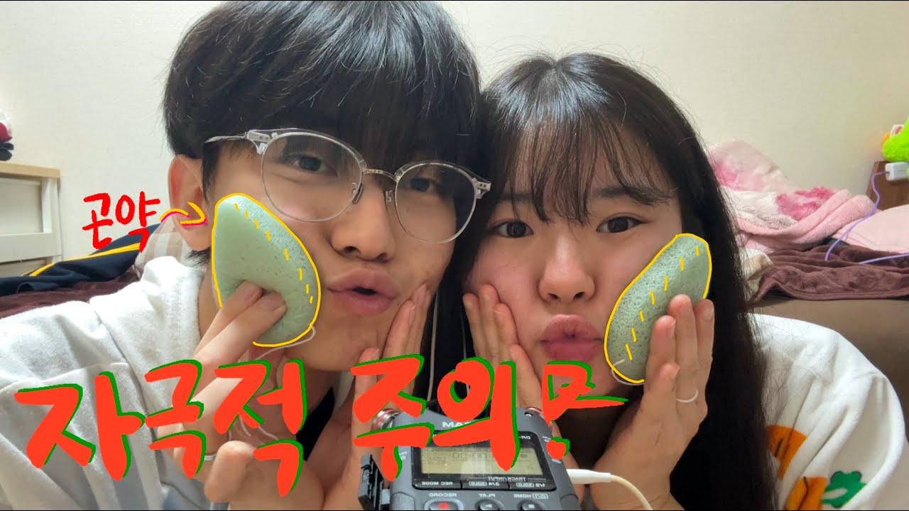일본 다이소 곤약퍼프ASMR-마루 슈리