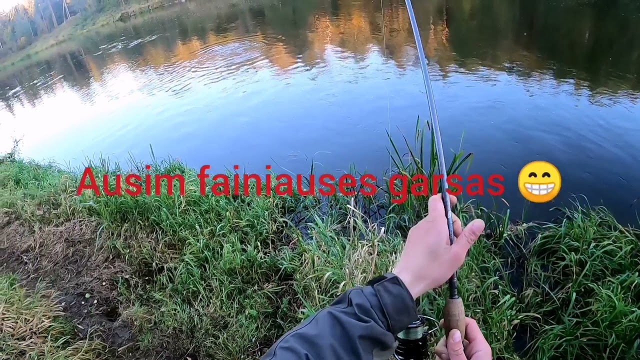 vienos savaites lasisu zvejyba (part1) #lasisa #zvejyba #fishing #salmon #Neris #2021