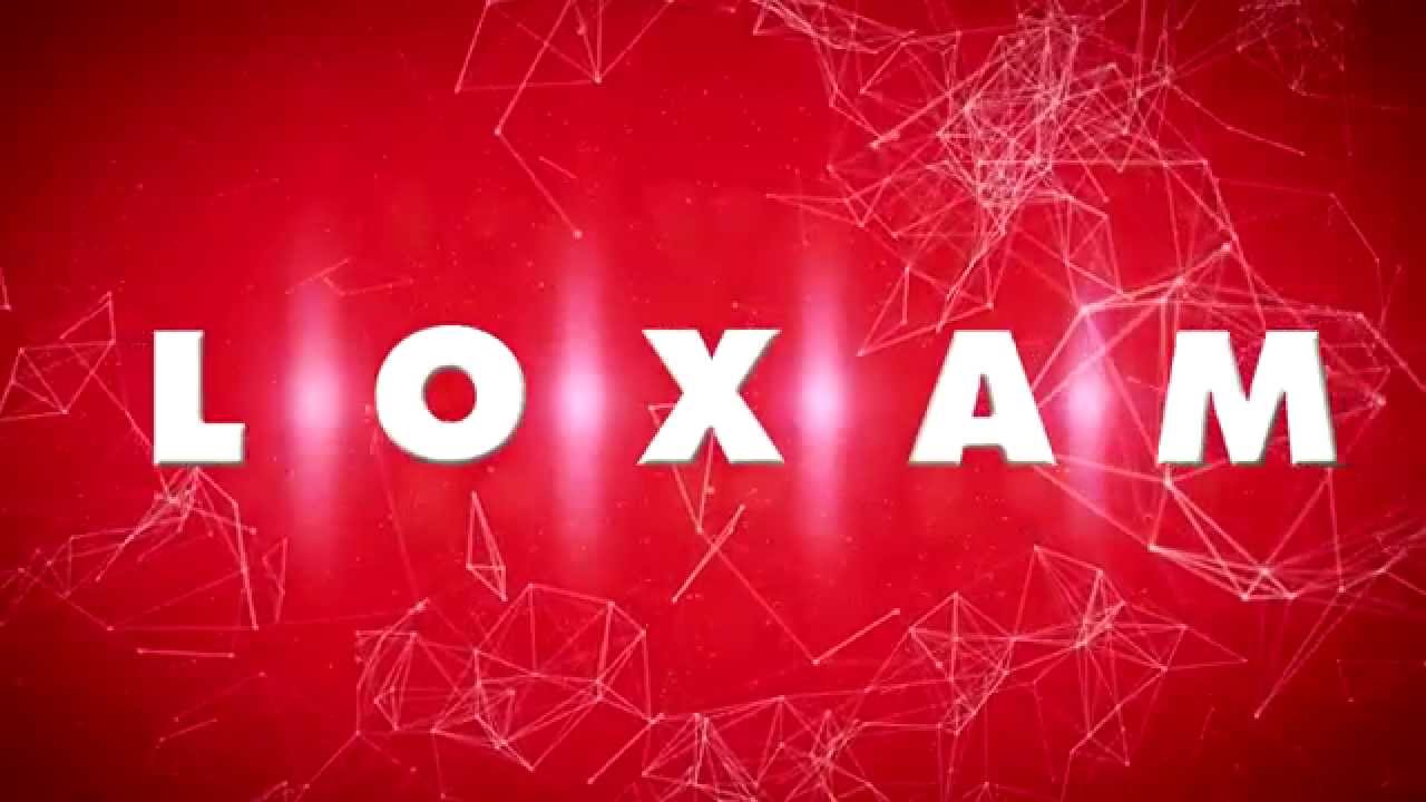 Groupe LOXAM