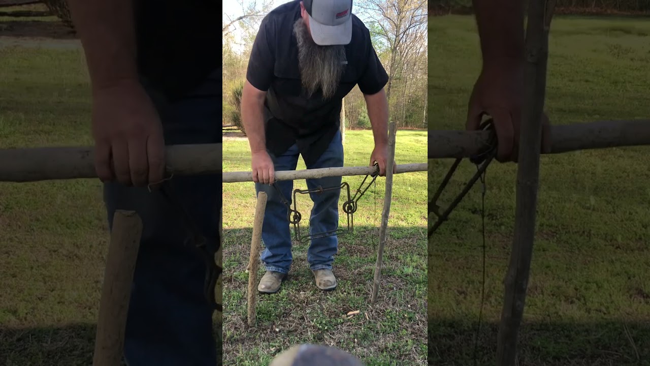How To Set A Trap For Beaver. #trap #beaver #conibear #support #anchor #tie #howto