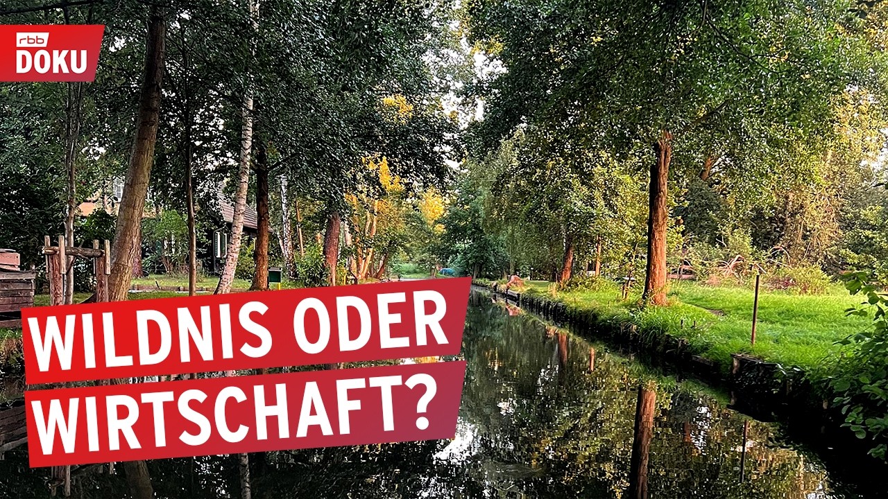 Zu viel Wildnis für den Spreewald? | Konflikt um den Naturschutz | rbb24 Reportage