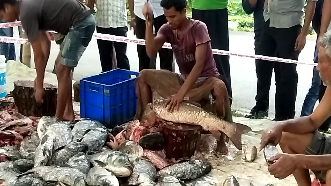 How To Cut Big Mrigal Fish Easy Technique