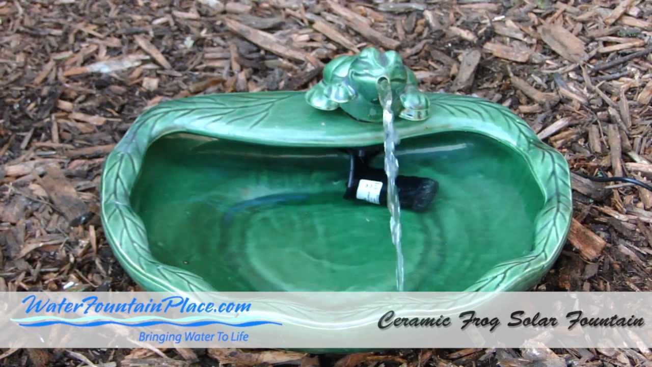 Setup Instructions for the Ceramic Frog Solar Fountain