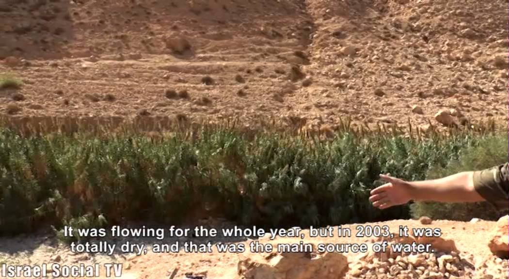 Rampant Agriculture in the Jordan Valley