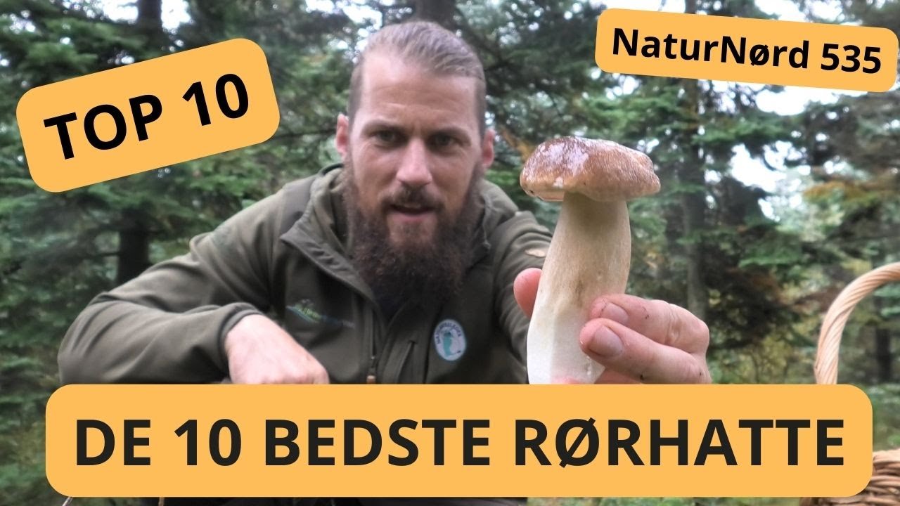 TOP 10 RØRHATTE + VIND LÆKKER SVAMPEKNIV.!!!!