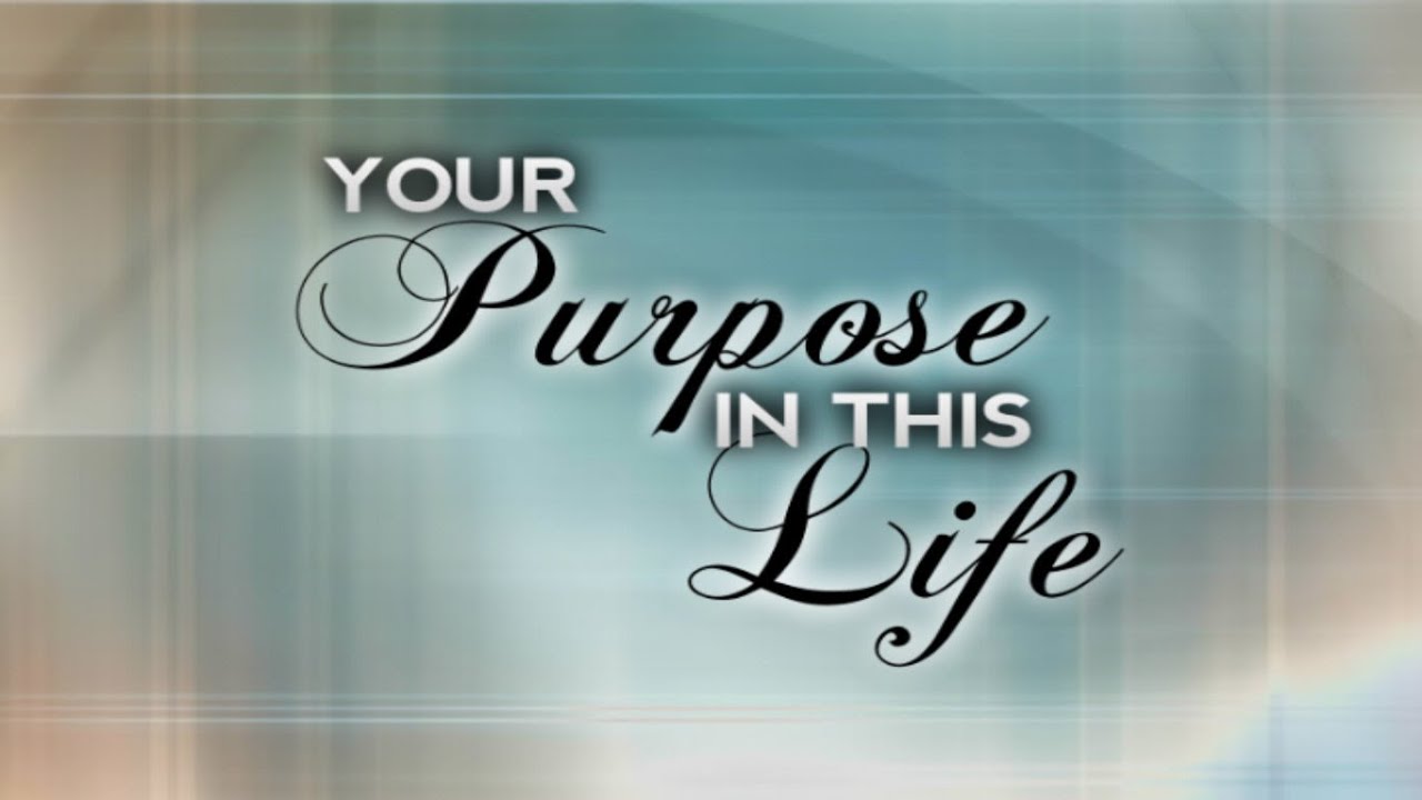 Your Purpose in This Life - Is there a greater purpose for your existence?