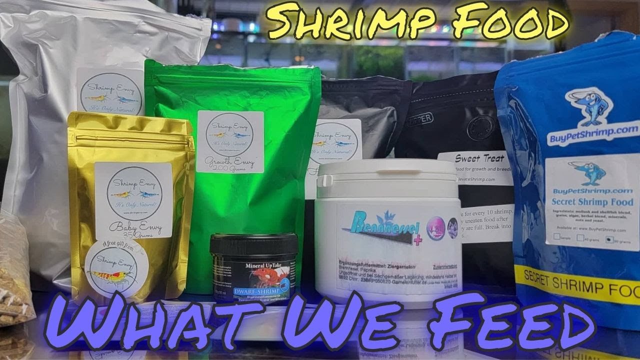 Shrimp Food!