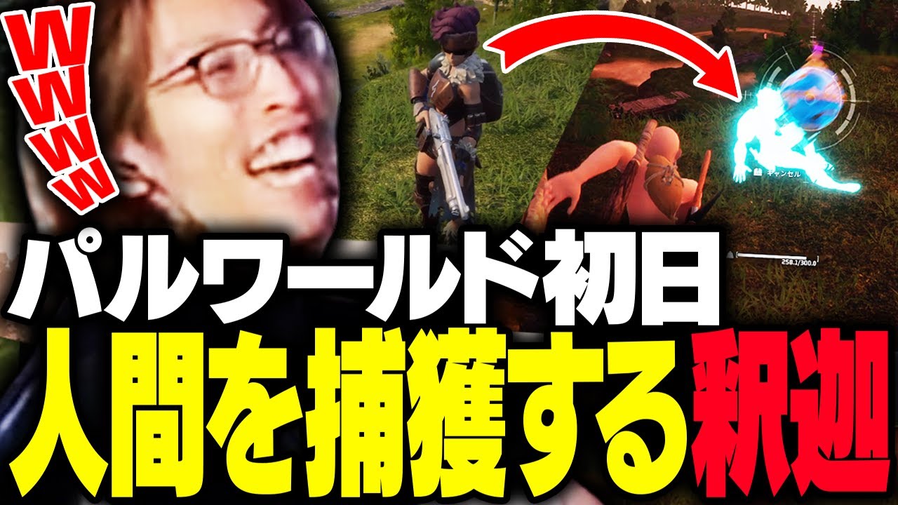 パルワールド初日から人間を捕獲する釈迦【パルワールド】
