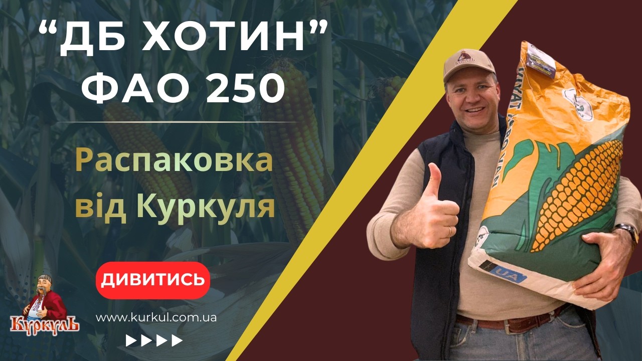 ДБ ХОТИН (ФАО 250, АГРО ВАН) 🌽🌽🌽 РОСПАКОВКА ВІД КУРКУЛЯ