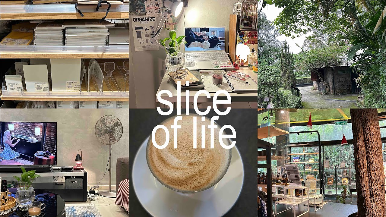 [vlog] Slice of Life | Back to Home 🏠 holiday with family, End of the year 2024