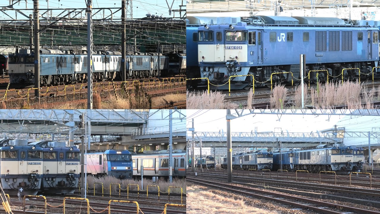 愛知機関区でEF64 1000番台を見る【2025年12月6日】