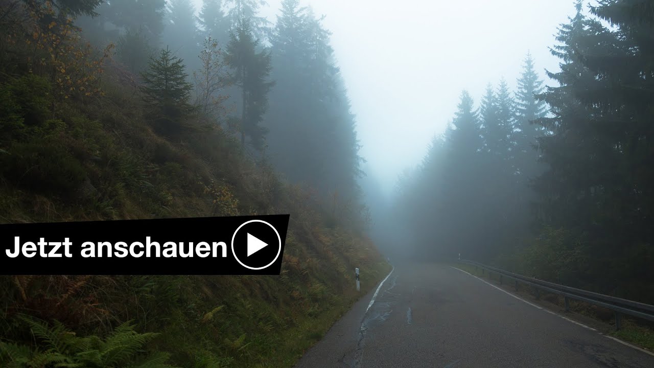 📷 Fotografieren im Herbst 🍁 Tipps f&uuml;r Anf&auml;nger - Benjamin Jaworskyj fotografieren lernen