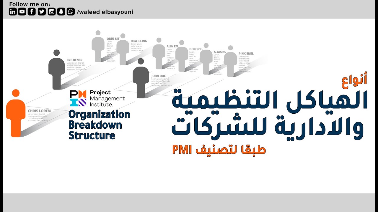 الهياكل التنظيمية والادارية للشركات طبقا لتصنيف PMI