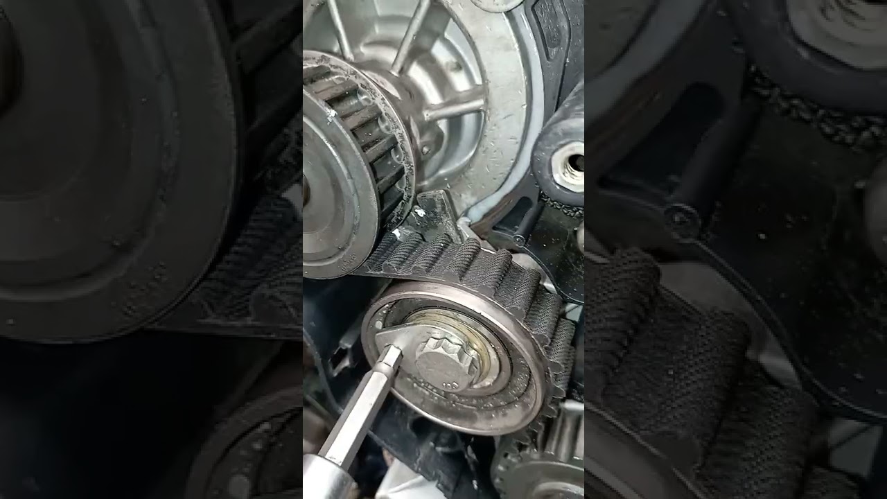 distribución de motor Fiat palio 1.8