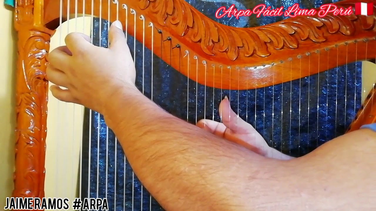 Entradita / ALICIA DELGADO /ARPITA MÍA
