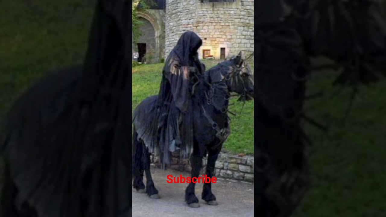 Best lotr scene of all time #lotr #lotrrop #movie #short #catholic #lotrfan #lordoftheringsfan