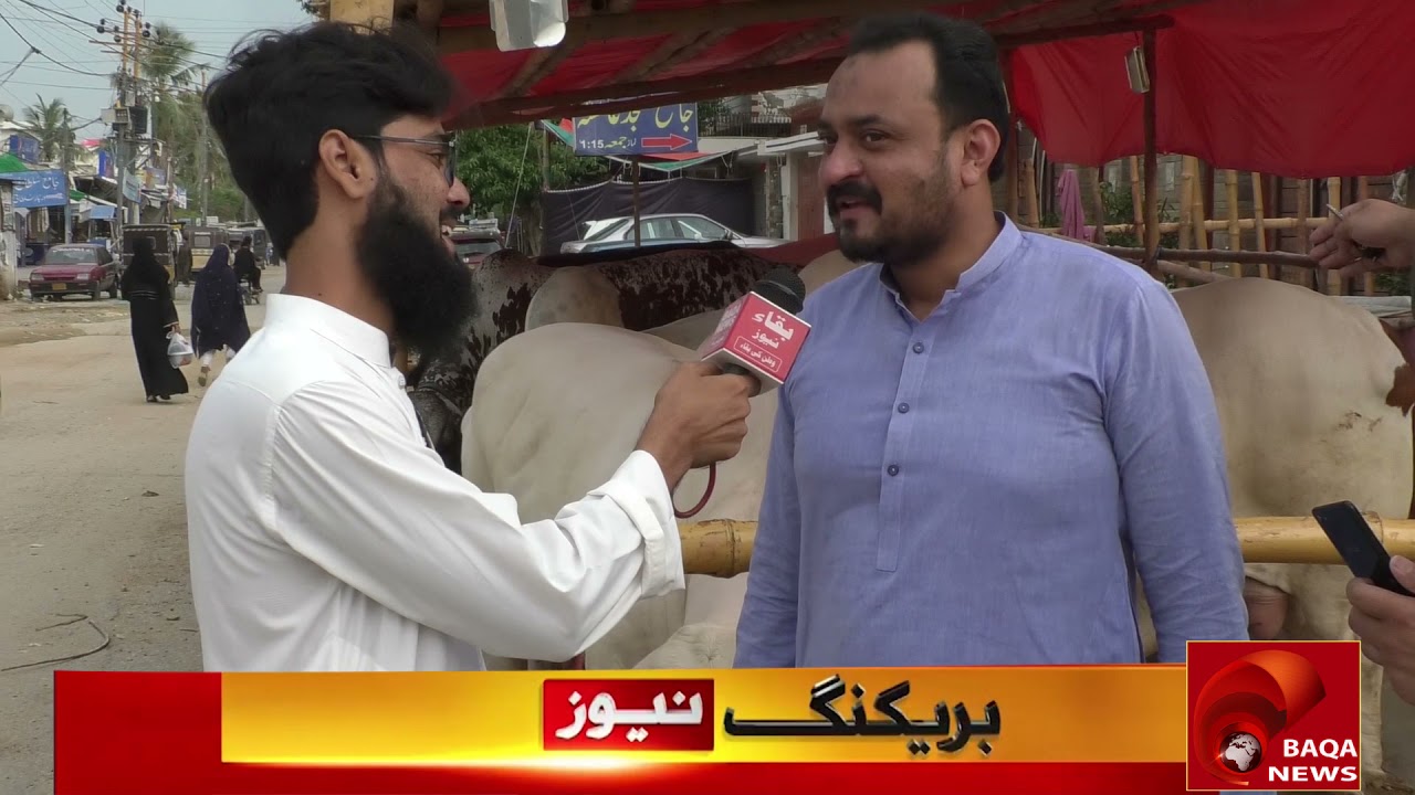 Baqa News -Karachi Main Anmol Besh Qemti Or Khubsoorat Qurbani Kay Janwar Loog Kya Kehtay Hain