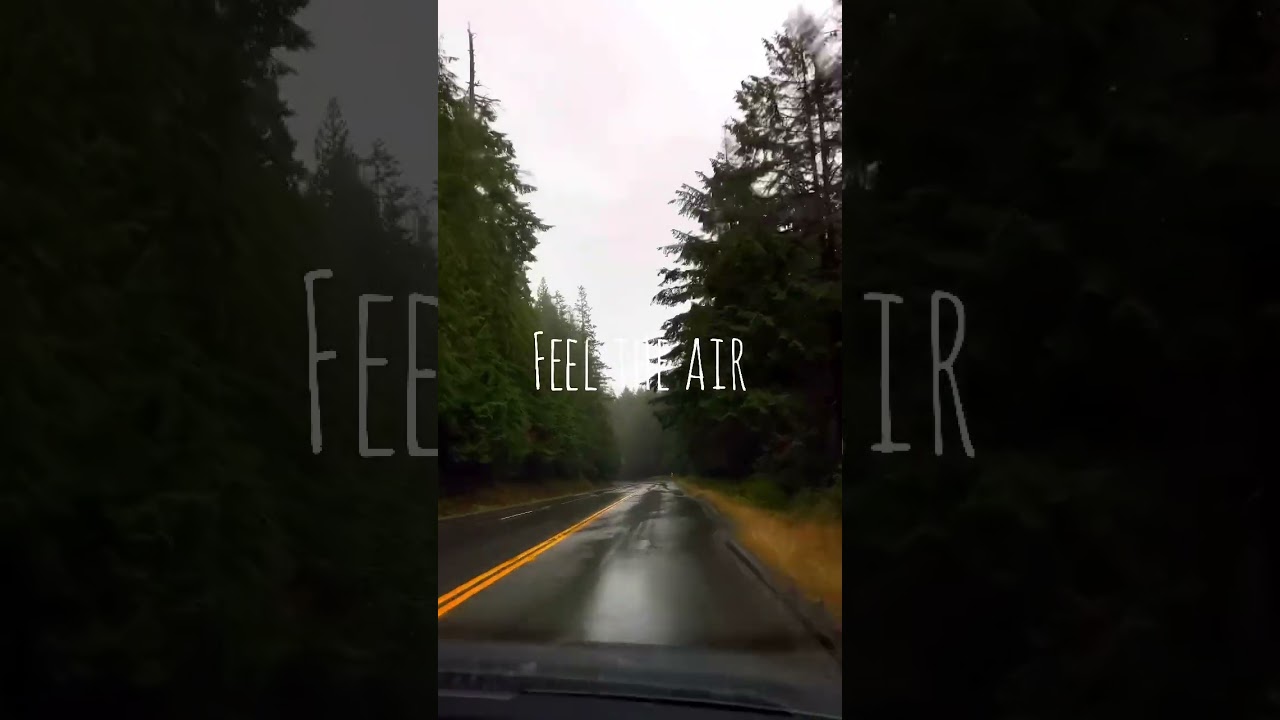 Relaxing drive to Mount Seymour!Enjoy the season!!#relaxing #relaxingdrive #stressrelief #roaddrives