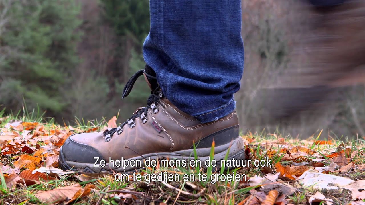 Het geheime leven van Materialen 10