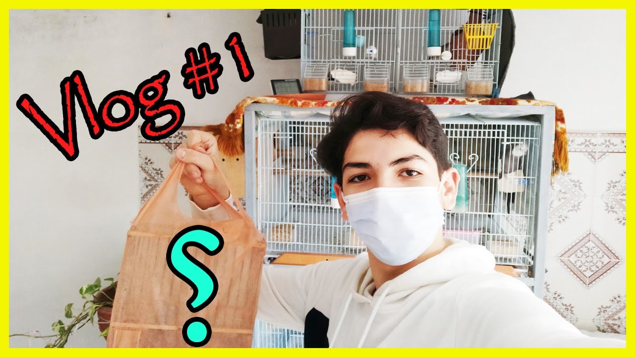 🔥اول Vlog و شراء طائر جديد و جميل 🐦