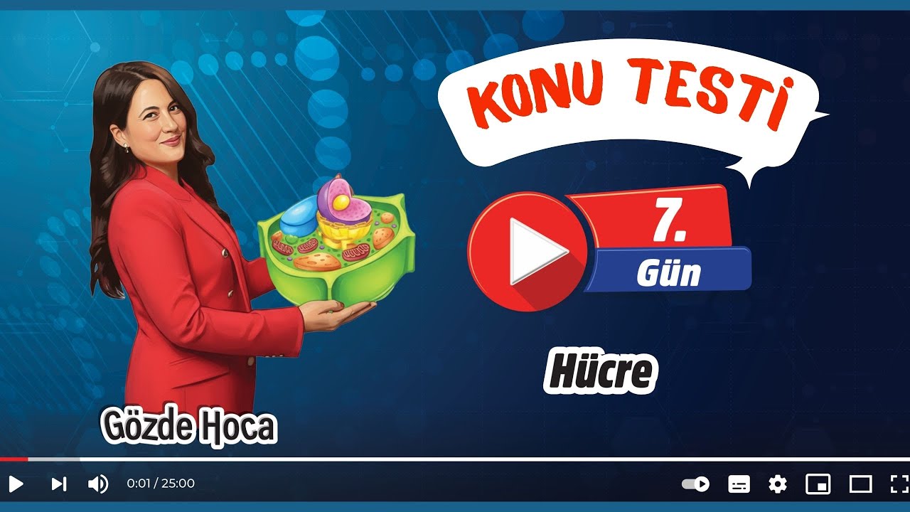 7.GÜN - TEK V ÇİFT ZARLI ORGANELLER SORU ÇÖZÜMÜ