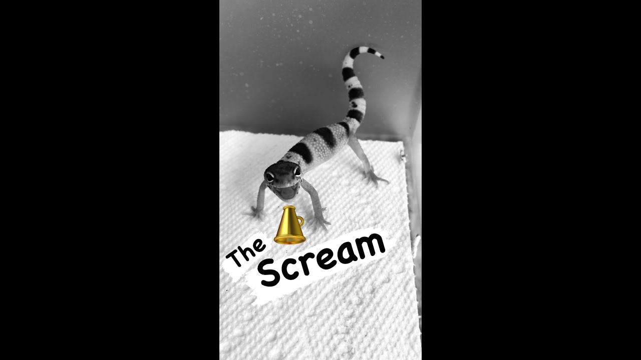 The Scream (Sound On) #shorts