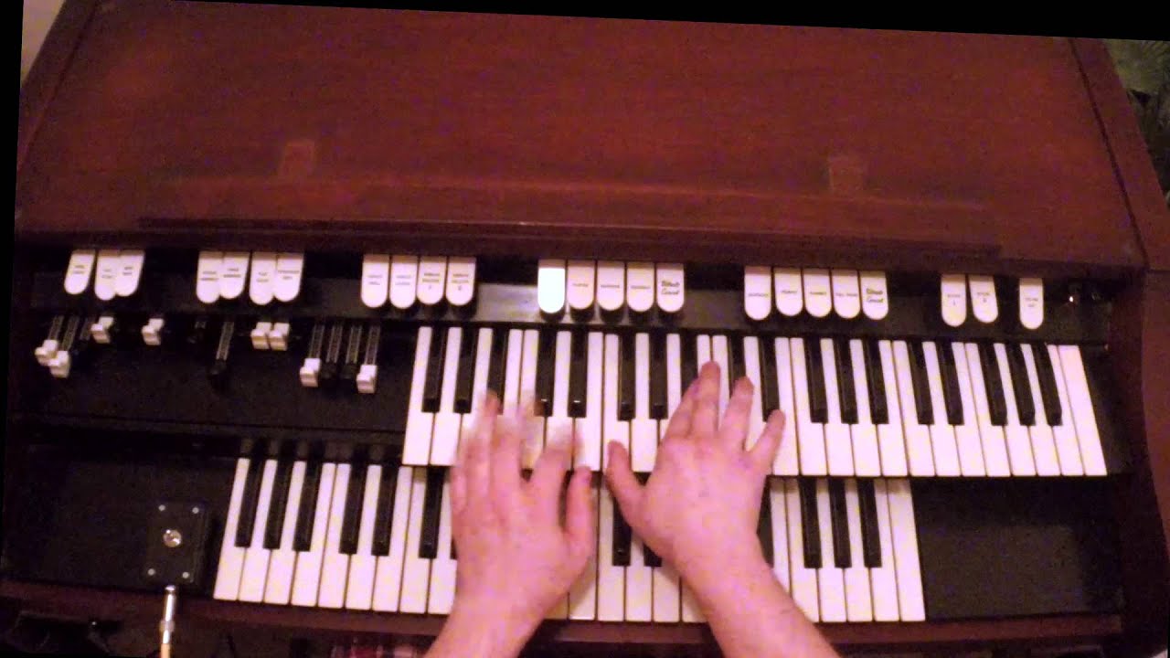 The Chicken on Hammond M100 Organ