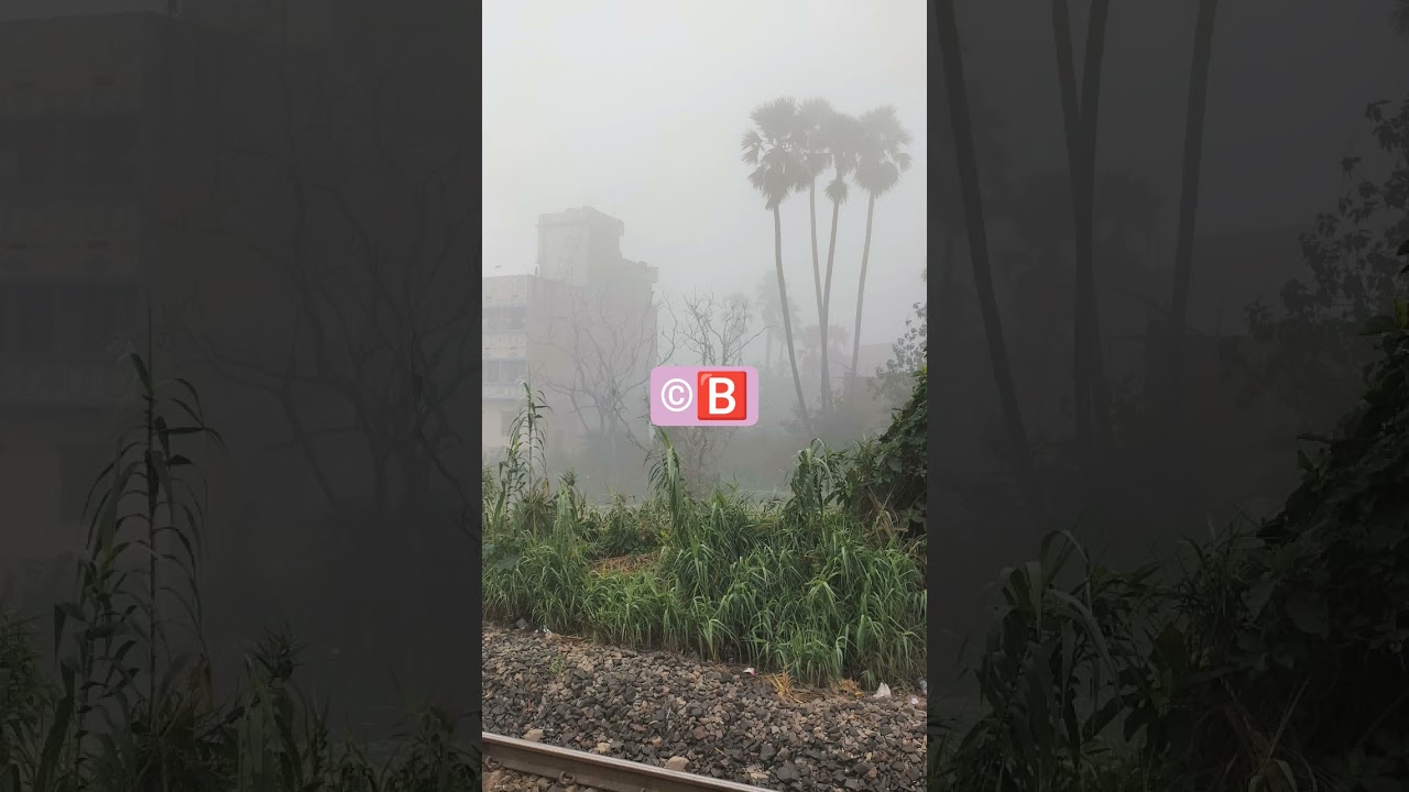 Patna : Cold Wave & Dense Fog #shorts #densefog