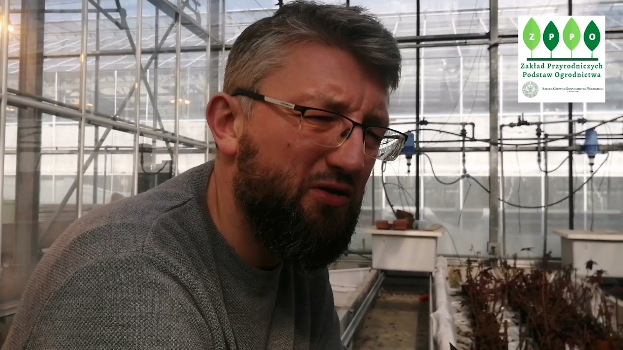 Technologie Fitoremediacji zajęcia nr 4🎋