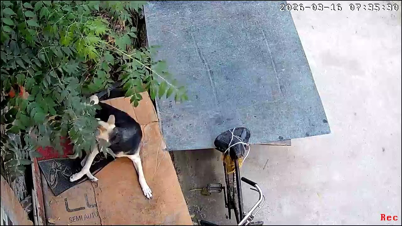 Kaaluuuuu