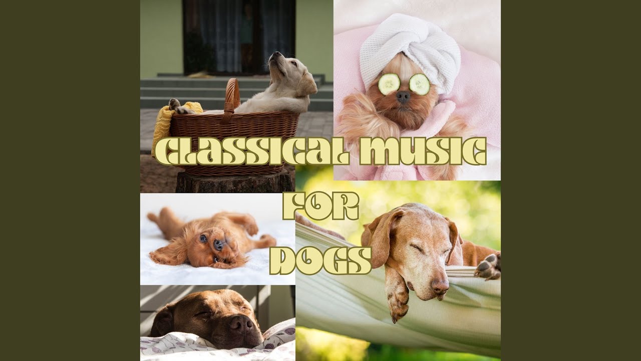 The Nutcracker, Op. 71, Act I: No. 2, March